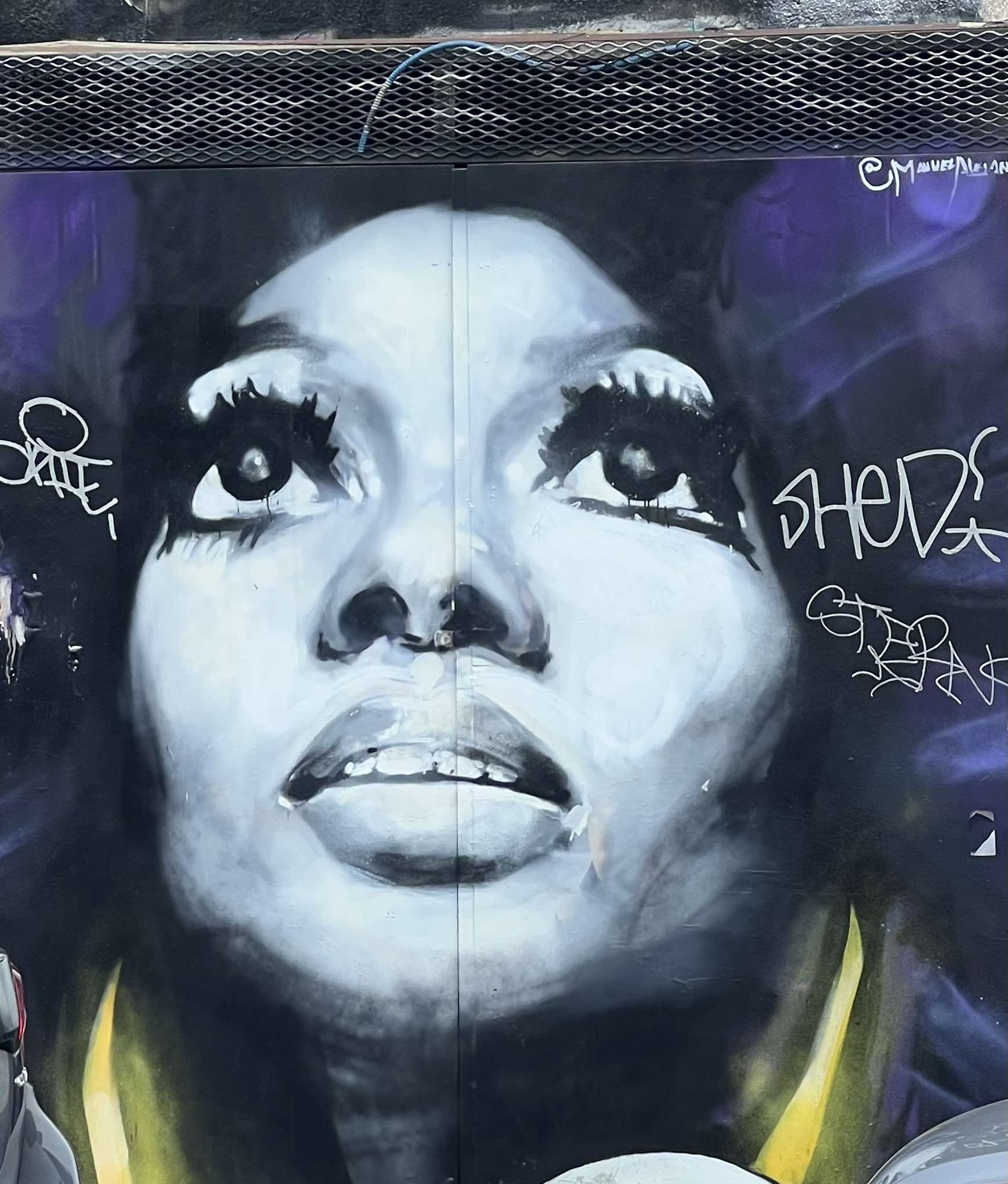 love Graffiti Art picture of female